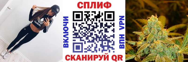 Купить A-PVP Галлюциногенные грибы Меф мяу мяу Гашиш НБОМе Канабис КОКАИН Козьмодемьянск