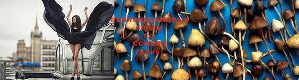 марки lsd Зеленокумск