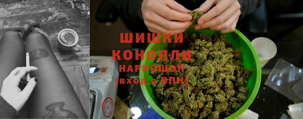 дурь Инта