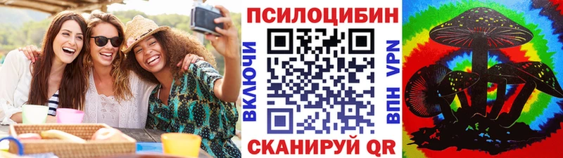 Купить  Козьмодемьянск  Псилоцибиновые грибы Cubensis 